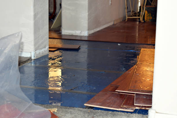 Professional Burst Pipe Water Damage technician working in Pandora, TX